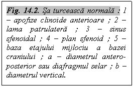 Text Box: Fig. 14.2. Sa turceasca normala : 1 - apofize clinoide anterioare ; 2 - lama patrulatera ; 3 - sinus sfenoidal ; 4 - plan sfenoid ; 5 - baza etajului mijlociu a bazei craniului ; a - diametrul antero-posterior sau diafragmul selar ; b - diametrul vertical.