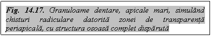 Text Box: Fig. 14.17. Granuloame dentare, apicale mari, simuland chisturi radiculare datorita zonei de transparenta periapicala, cu structura osoasa complet disparuta